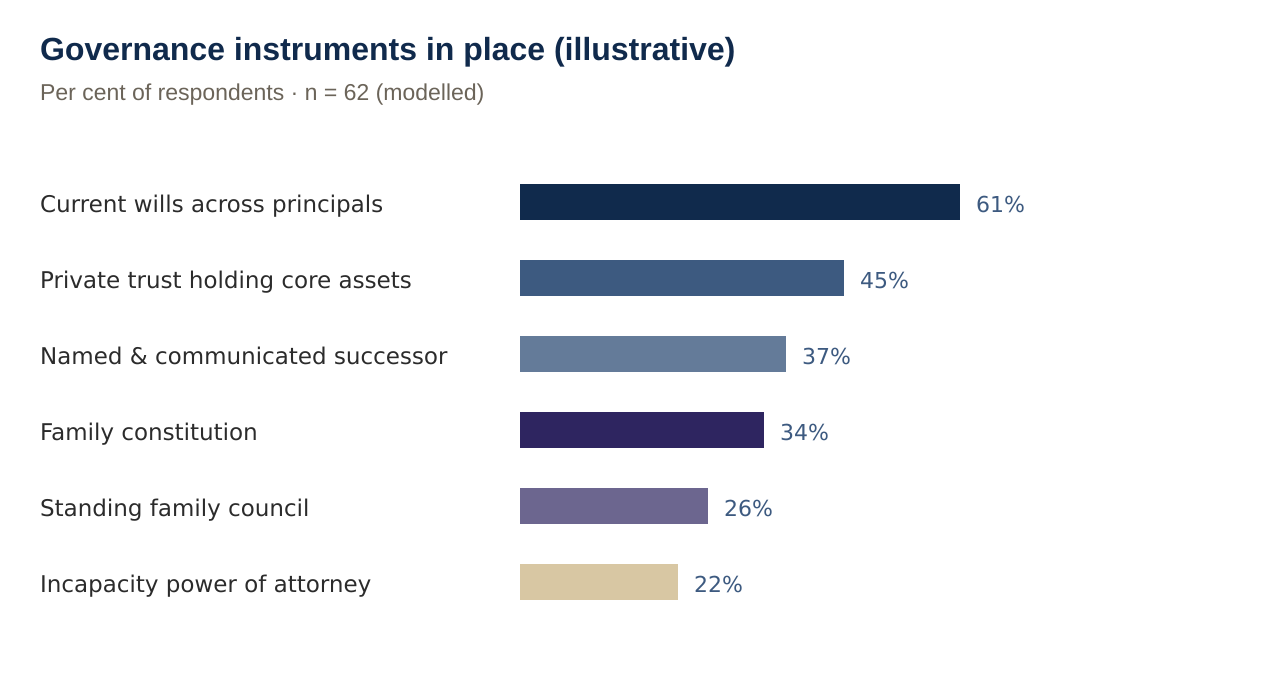 Governance instruments in place (illustrative)